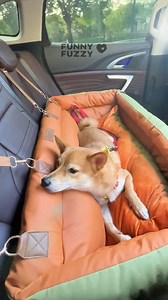 27K views · 15 reactions | Keep your pet snug and stylish with our Deluxe Faux Leather Dog Car Seat Booster Bed - Urban Voyager. Perfect for safety and comfort, your furry friend will enjoy every journey and feel at home. ✨ | FUNNYFUZZY | Facebook