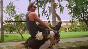 14K views · 38 reactions | Osmo Mobile turns your smartphone into a...