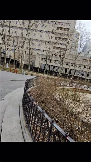 Thomas Farrell on Instagram: "Brooklyn Borough Hall Asking The Locals Part 1"