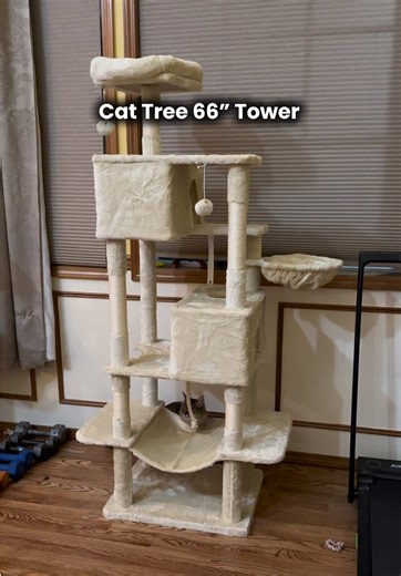 Premium Quality Cat Tree Tower from Sweetcrispy