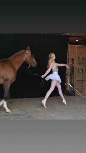 So, how difficult was it to photograph with a dancer and a horse? Well it’s not easy to get a horse into a photo studio - so we had to create a whole new “studio” system - made for a barn. Just like dogs and cats, not all horses are comfortable with flashing lights or strangers. So we had to find just the right horse. ⭐️. Dancer - @ldchristensen4 , Saint Louis Ballet .Horse - Stan, Miller Arabians LLC ..#dancersandanimals #dancersandhorses #horsevideo #horsesofinstagram #arabianhorse | Dancers &