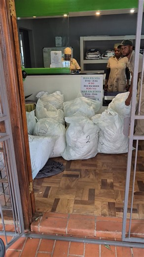 0729708343 .. 557 de beer str. Moot #laundry #Skoonmaakdienste #carpetcleaning #officecleaning #windowcleaning #fypシ゚viralシ | Waterberg Wassery Pretoria