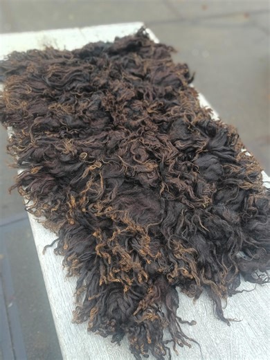 Hungarian Racka Raw Wool Felting Fleece 120 X 75 Cm - Etsy