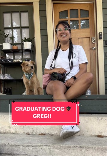 Training Journey with Greg the Dog in Los Angeles