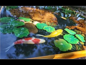 How to make 3d fish table with Epoxy Resin | Danasea Decor