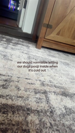 Normalize Indoor Potty for Dogs in Cold Weather