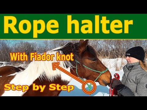 Rope Halter for Horse with the FIADOR knot | Step By Step 2021