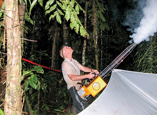 Legendary entomologist Terry Erwin passes away at age 79