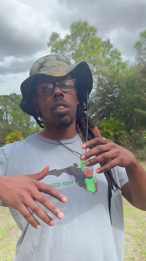 Exploring the Diverse Spider Species in Florida