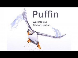 How to paint a Puffin in flight - Watercolour painting demonstration
