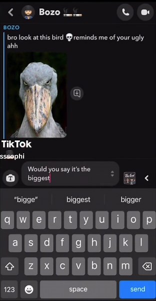 How to Spam Faster and Become the Ultimate Burd 🦅 #fyp