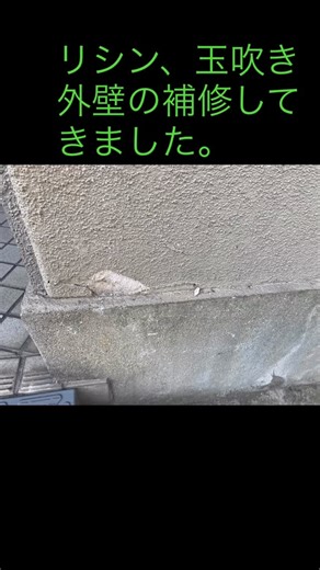 オカショウ・リテック｜補修・リペアの現場施工｜リペア講習・スクール｜大阪 on Instagram: "リシン、玉吹きの補修してきました。 一挙2現場公開です。 質感も良い感じ🙆 🎋 – – – – – – – – – – – – – – – – – – – – 私たちは大阪・豊中市のリペア業者のオカショウ ・リテックです。閲覧いただきありがとうございます！！ リペアでお困りごとの解決や、 思い出を生まれ変わらせるお手伝いもしております＊ フォローやいいねなども、ぜひお待ちしております🫶 ご依頼・講習のお申し込みはプロフィール欄のHPをチェックしてみてくださいね🐢 ▶@okasho.reteq_repair #大阪#兵庫#リペア#補修屋さんと繋がりたい#つぶつふ ご不明点のお問い合わせはDMからでもOKですよ🙆‍♀️"