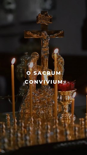10K views · 515 reactions | "O sacrum convivium" is a Latin prose text honoring the Blessed Sacrament. It is included as an antiphon to Magnificat in the vespers of the liturgical office on the feast of Corpus Christi. The text of the office is attributed with some probability to St. Thomas Aquinas. | Spirit Juice | Facebook
