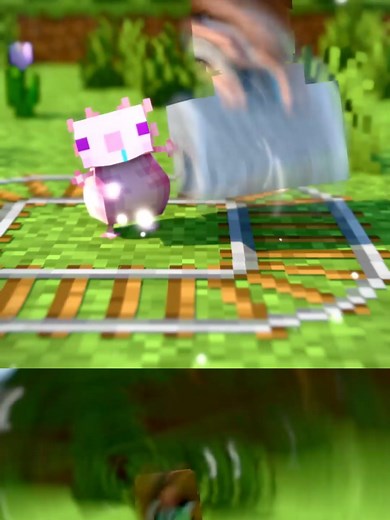 Funny Moments of Foolish Axolotls in Minecraft