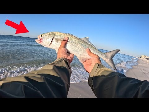 PANAMA CITY BEACH SURF FISHING (Non-Stop Action)