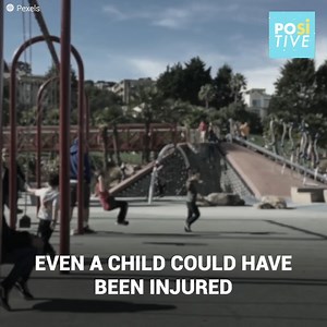 He was just sunbathing when out of nowhere the dog appeared. The commotion was such that several people came out to see what was going on. Between the dog's jaws, there was a cat. And it refused to let him go for nothing.... | Positive