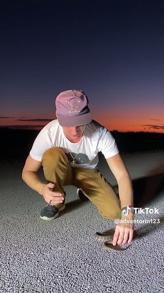 a lot of y’all have been asking for a video demonstrating proper, nonvenomous snake handling techniques! this particular clip got cut a little short b undefinedcc