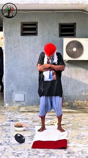 Discover the Magic of BalliBotMogis