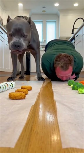 hilarious dog vs man eating moments 😂😂😂😂😂😂😂😂😂