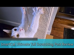 BEST SCRATCHING POST FOR LARGE CATS - SmartCat Ultimate Tall Scratching Post Review