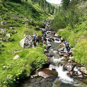 286K views · 285 reactions | ▶ 퐈퐍 퐃퐄퐑 퐖퐈퐋퐃퐊퐎퐆퐄퐋-퐀퐑퐄퐍퐀 퐒퐏퐈퐄퐋퐓 퐒퐈퐂퐇...