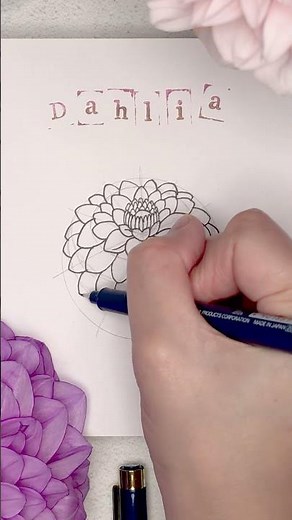 How to Draw a Dahlia Flower from scratch ✨