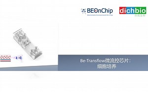 产品操作| Be-Transflow 微流控芯片：细胞孵育