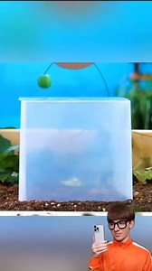 309K views · 16K reactions | menubah buah menjadi berbentuk hati樂 #eksperimen #_vector_ #tiktok #shorts | vector z | Facebook