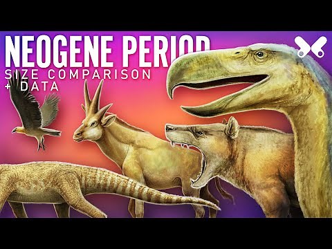NEOGENE PERIOD. animals size comparison and data