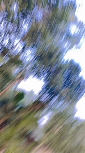 imAkash_ss7 on Instagram: "#trendingsong"