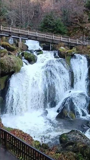 Black Forest Magic 🌲⛰️🌿 | Exploring the Famous Triberg 🇩🇪 Waterfalls in Germany