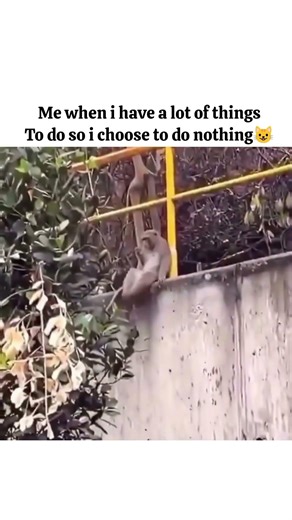 time pass krte krte thak gye#trending#shorts#youtubeshorts#viral#relatable#reels#funny#cat#anime#fun