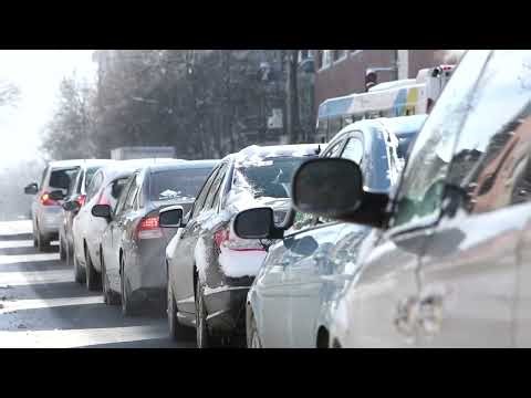 Tesla's Whimsical Hedgehog: Unveiling the Meme's Meaning and Origins