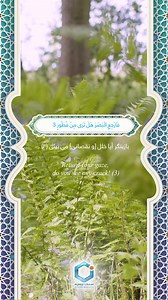 #Islamic #Islam #AWCC #AfghanWireless #Data #Voice #Services #No1 #Afghanistan #Afghan #Network | Afghan Wireless