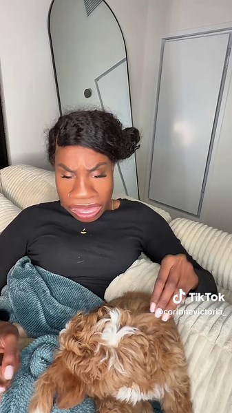 Coco the Dog and the Cookie Mystery Revealed