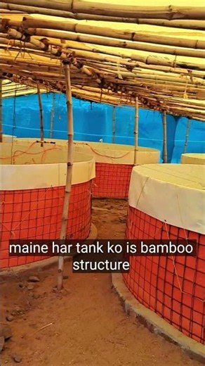 🎣 🐠 New Biofloc FishTank Setup 😱 fish farming #shorts #short #fishing #fis
