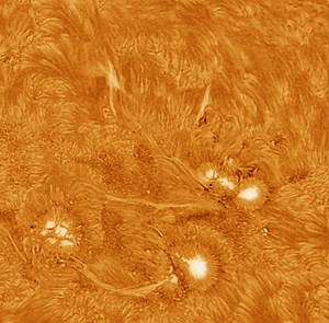 I captured a weird version of the sun Saturday afternoon. I inverted it to see all the little details that are going on with the surface. So in this case, the white areas are actually sunspots. And the filament that looks like it's jettisoning above the surface is hot plasma 4 or 5 Earths wide. Telescope: Explore Scientific AR102 Camera: ZWO ASI174MM Solar Filter: DayStar Quark Chromosphere Mount: Celestron AVX Focuser: Rigel Energy Rejection Filter: Astronomik L1 UV-IR Capture Software: SharpCa