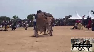 15K views · 239 reactions | Mawurnyin (Central Equatoria) vs Dech Ajith (Jonglei state) Video by: Pesahiko Alithso South Sudanese Wrestling Page Edited by: SWR | South Sudanese Wrestling Reviews | Facebook
