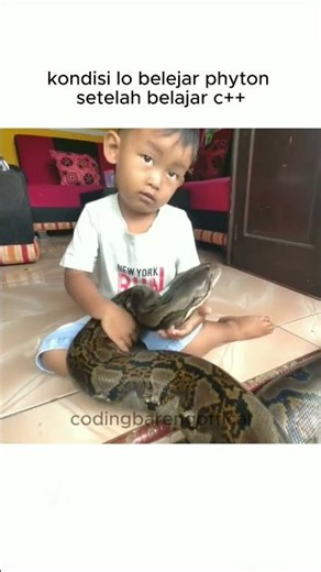 kondisi lo belajar phyton setelah belajar C++ 😎