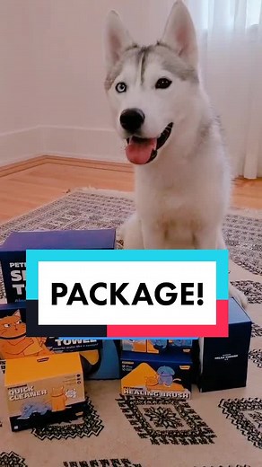 Skaya Siberian on TikTok