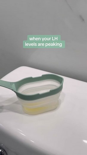 Its babymakin’ time #Frida #FridaFertility #Pregnant #TTC #FertilityJourney #Pregnancy #FertilityAwareness #fertilitytok