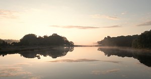 早晨 多雾路段 国家公园 - Free video on Pixabay