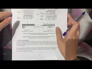 Cellular biology : chapter 1 prokaryotes cells ( 2 / 3 )