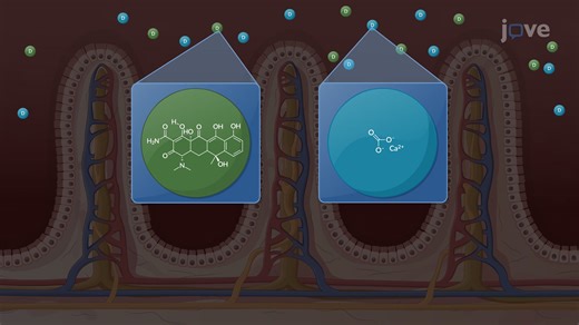 Video: Farmacocinética: Interacciones farmacológicas