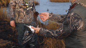 Baltic Sea Ducks! Check out more episodes of The Last Pass on our YouTube channel. #fabrand #finalapproach #waterfowl #duckhunting #hunting #waterfowlhunting #goosehunting #ducks | Final Approach Waterfowl