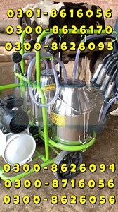 4.4K views · 38 reactions | Cow Milking Machine | Bucket Milking...