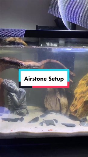 TikTok - Make Your Day