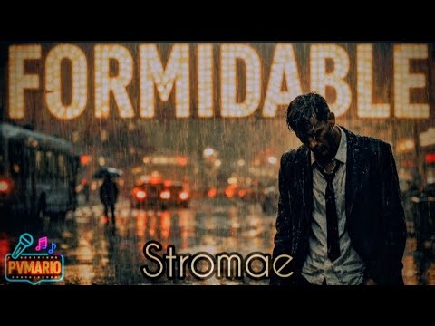 🇫🇷KARAOKÉ🎤 Stromae "Formidable" | Instrumental version HD