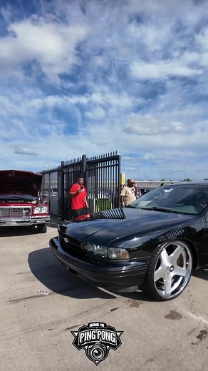 Super clean impala on impala reps | Whoispingpong