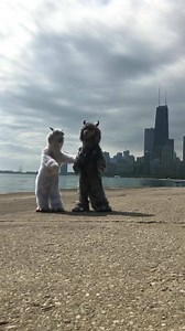 84K views · 2.6K reactions | Practicing moves for the big day. | Fall Out Boy | Facebook